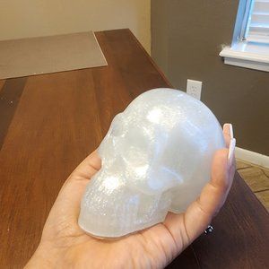 Apoxy resin skull